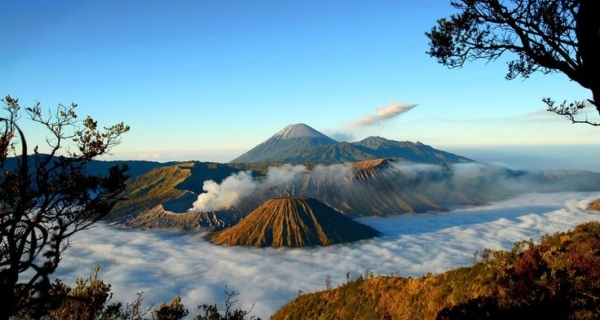 mount bromo ijen tumpaksewu tour