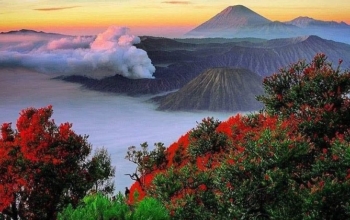 Bromo Tour From Malang By Train